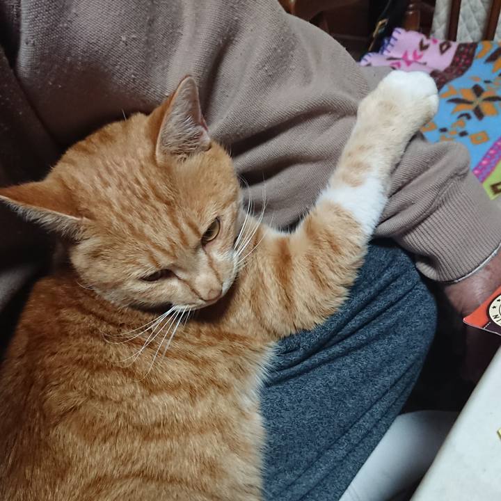 91ccc040 4ea7 4615 a4b9 92b5556766c7 1575157329066