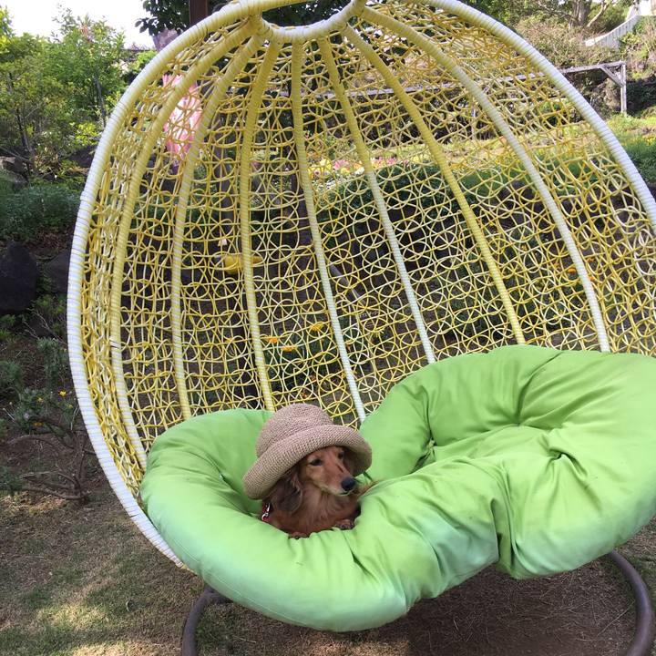 91cd1252 820e 4f96 8d5e 7763b25b0dbf 1525271625853