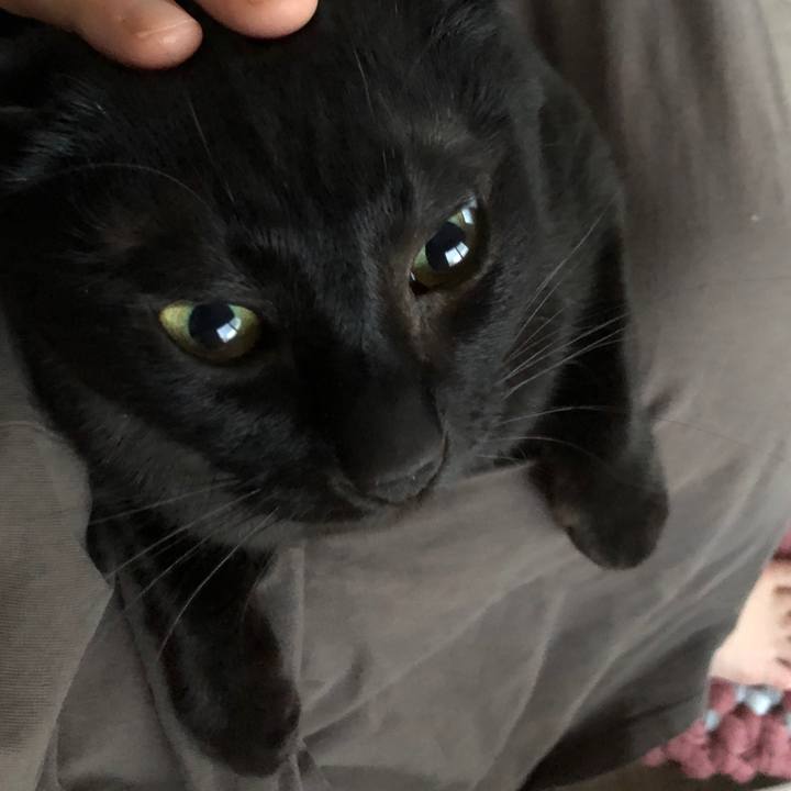 91cd180e a422 4da8 9365 cfa129086ecf 1680209349549