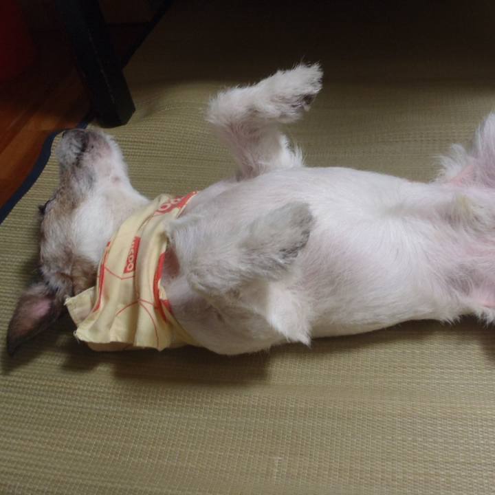 91cd3382 df88 415b 9254 784d962055f6 1533039623928