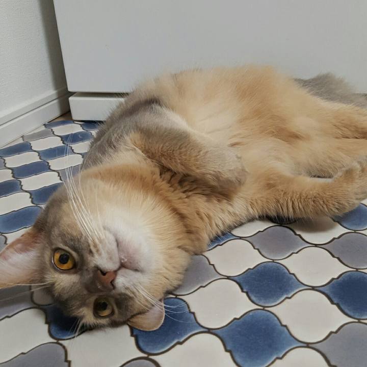 91cd5865 015f 44be 98e4 4eb38c89fdeb 1536405297629