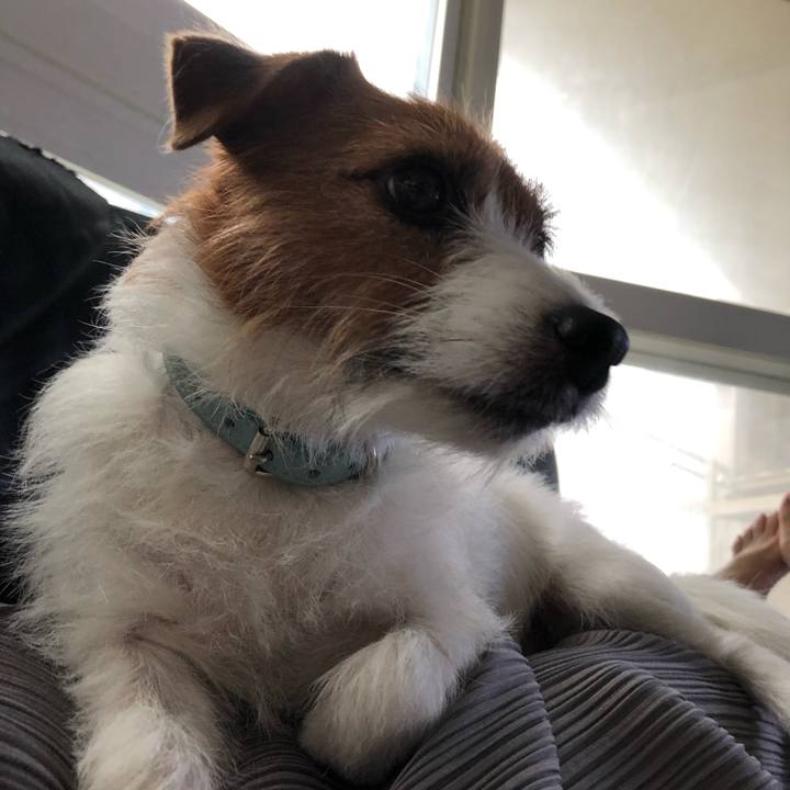 91cd7618 9cf4 4340 8191 c2905c1dd43e 1570852403518