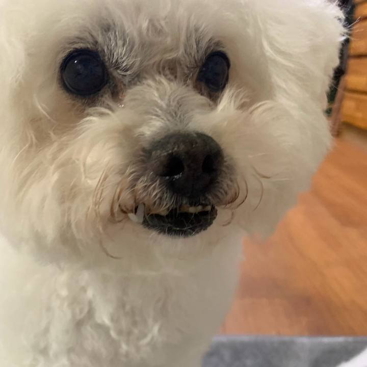 91cdac3f 5f8f 4b3a a487 d1052297da60 1738058966570