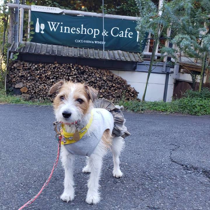 91cdadf0 e896 49dd 8e8f 87ddaccdec75 1634994371218