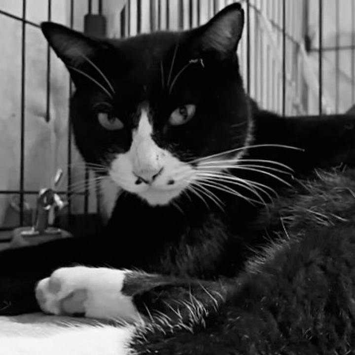 91cdc121 7134 4613 a13a 1c52ca437f57 1761394035491