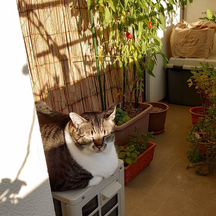 91cdf5bf a3f8 4575 828d 7e5d8174c29f 1605912262462