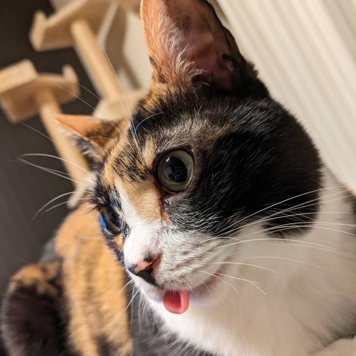 91ce2c31 e66f 4418 b8c5 86e8a55a79d8 1713844734759