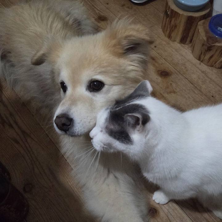 91ce36a6 4a90 4261 8ccc a8db847fc6d1 1755342846649