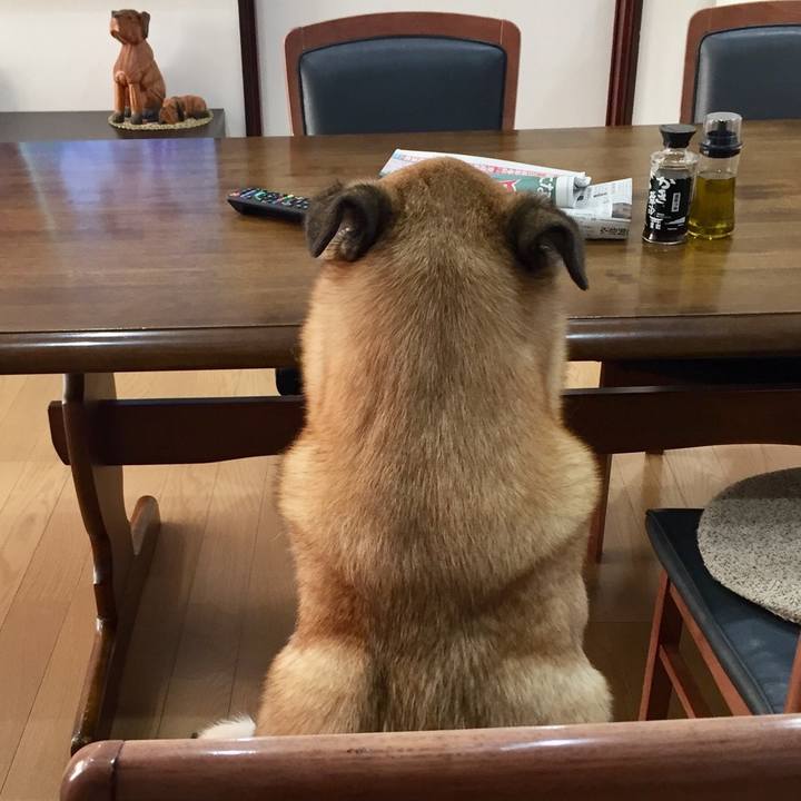 91ce592e 603d 45bd 84a9 e67f1b5bcaf3 1515712822584