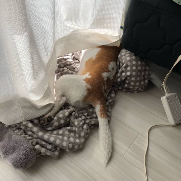 91ce7409 7da9 474e 9c2e 560f67d7a593 1552973918198