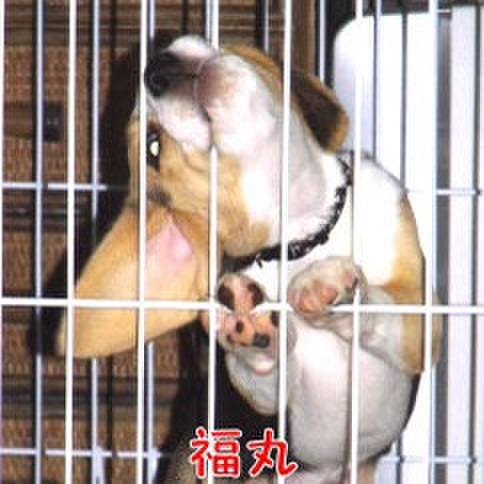 91ce9ec7 54cf 424d 999f dbcf53af8985 1677629493527