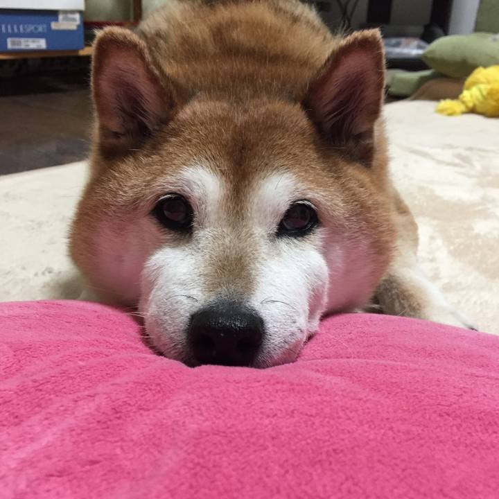 91cee393 d675 4ec3 931f b87adbe64890 1527084856349