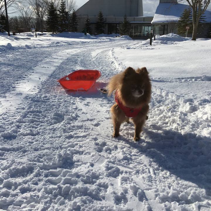 91cf5e8c 9f14 4b55 a080 bfc329b742ec 1515645605451