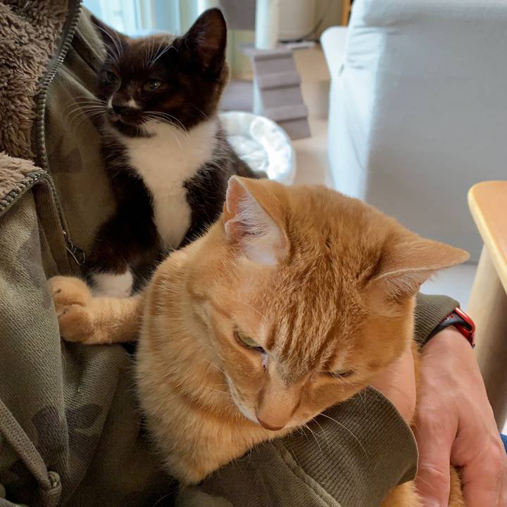 91cf65fa ec0e 43d3 9e4c b40fb1a55465 1577686016128