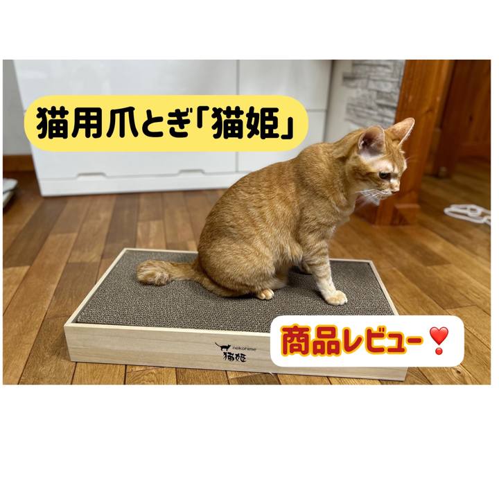 91cf891c 6255 47b4 ad88 599abeec5729 1671137790525