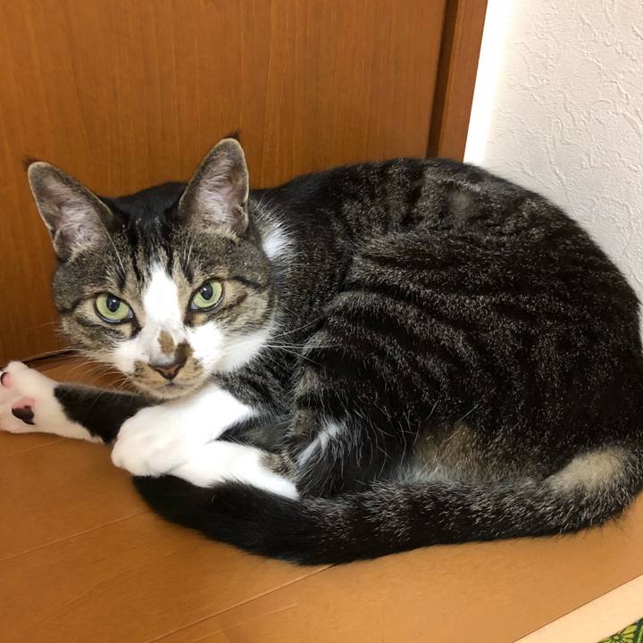 91cfab39 3f49 4ba8 9f02 2c0d12bd5b15 1530961448143