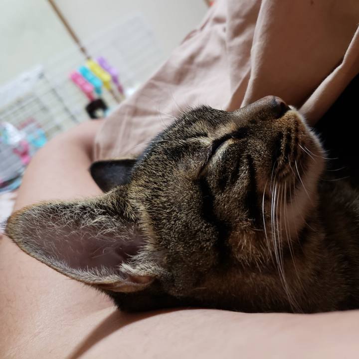 91cfaf59 23e4 49e6 ad0c 78e9bf9bab2a 1549275838672