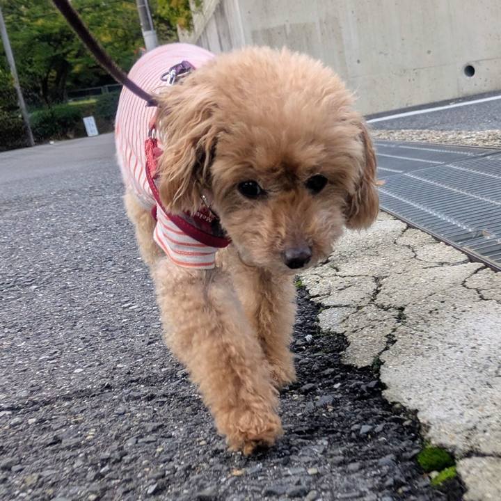 91cfc489 9004 42a1 a292 309ce4a10d0c 1761172963965