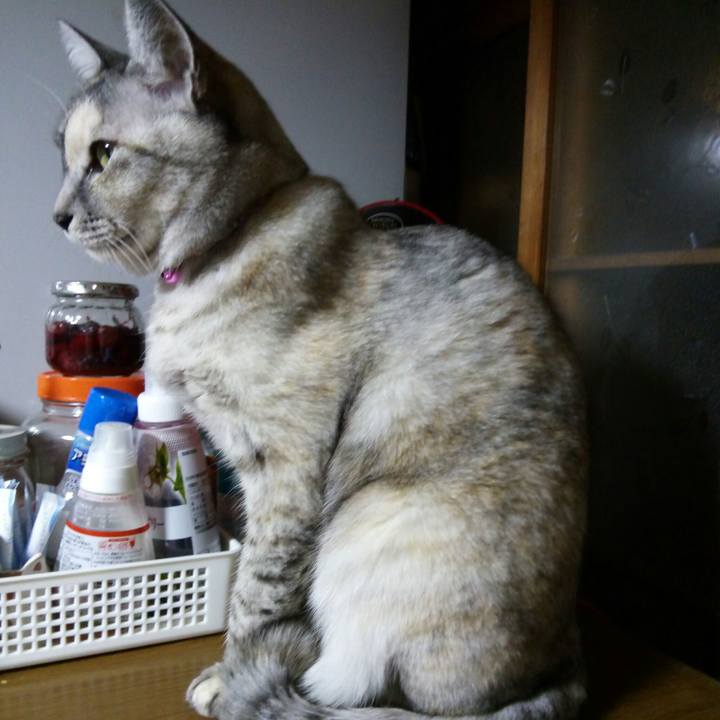 91cfe737 7f9e 449e b762 ee2a62429dd6 1513253313864