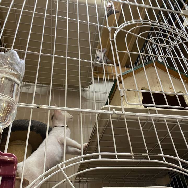 91cfe9b7 e75d 4927 918b bf074f6c1a91 1689495358717