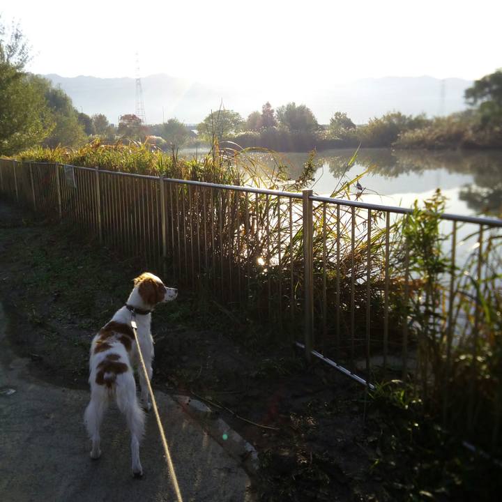 91cff9ec d0c0 49e6 adbf b971ce489716 1510919122421