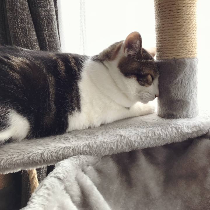 91d02357 1601 44b2 a0d4 48752ead505d 1591938153277