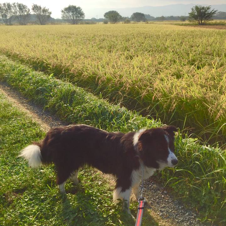 91d0612e 4086 48fd 87bb 0d00c7020657 1570576805186