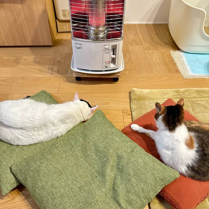 91d07dce 26aa 4eb2 aae9 e0b1efdac269 1738145584031