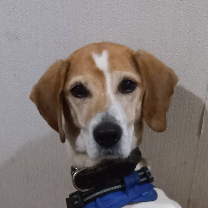 91d09845 6879 40bd ae66 7052644a81a7 1743508153461