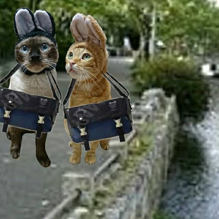 91d0bef5 2af8 44b9 9b18 3dcf19c77d6e 1557356424627