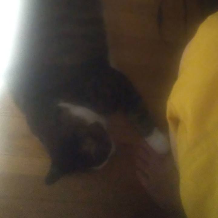 91d0c2e6 7cd2 4b1f aa5b bfe34399db02 1695048307912