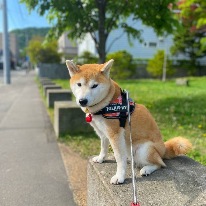 91d0c57e 60cc 4be7 907d 042d0419c2df 1622595837727