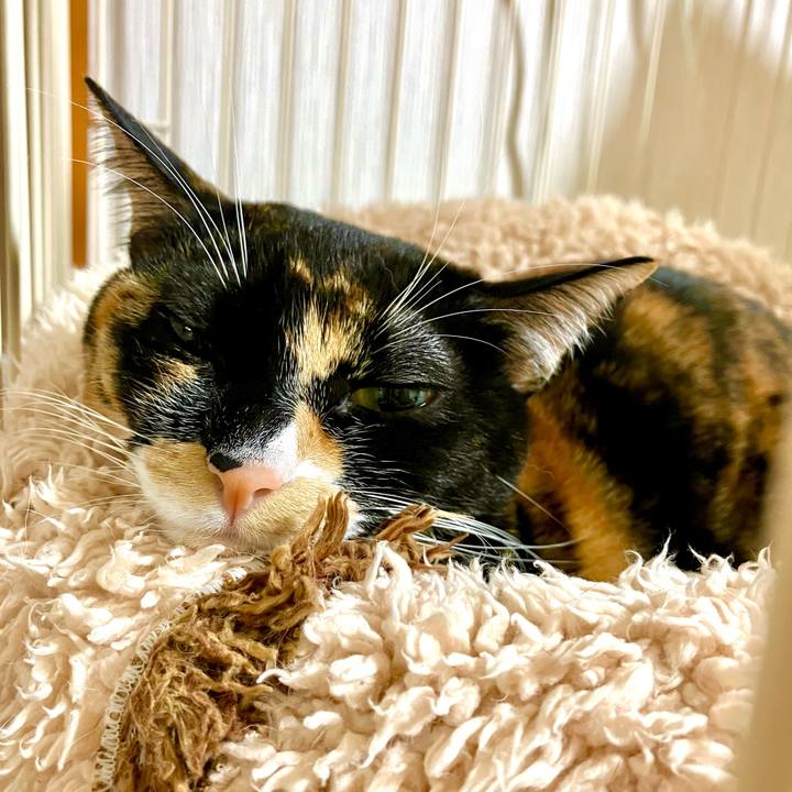 91d0dd1d 21b7 408b 89fb db6adedb3519 1732543002351