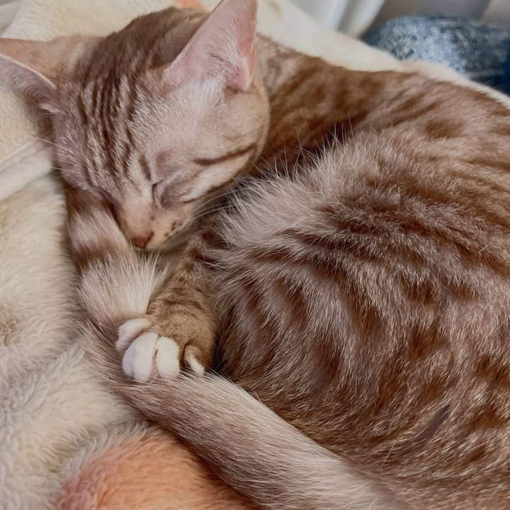 91d0ddfd 2969 4173 ad6f 743d4f90ae2b 1679747633250