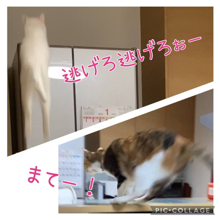 91d0e557 749e 4d1e 88b7 837de08d9ba5 1675294607717