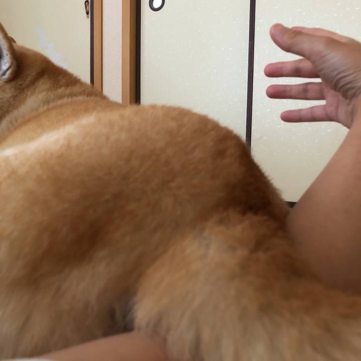 91d0e850 6749 4bdd b0aa 22af4ed7c953 1565694957943