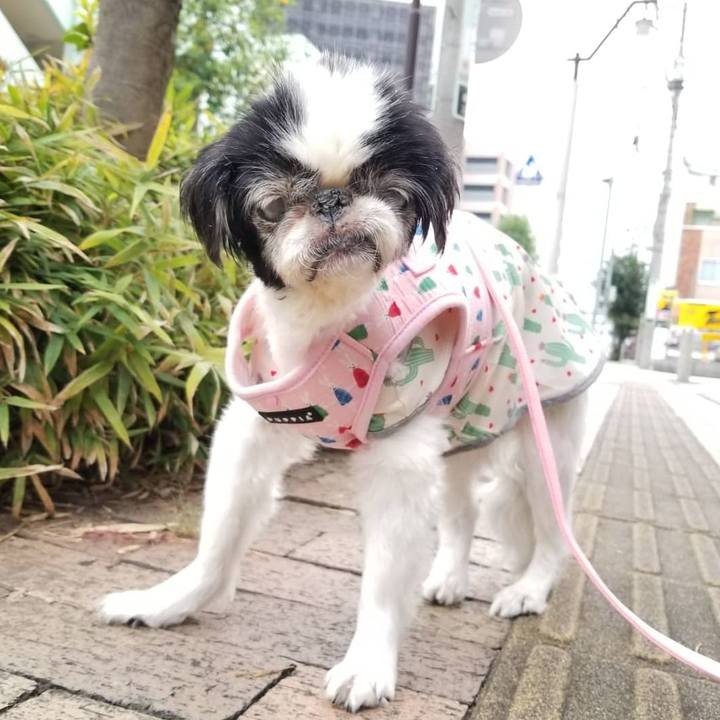 91d0ffab d7b2 4a53 a0e7 2f090684b00f 1633754356365