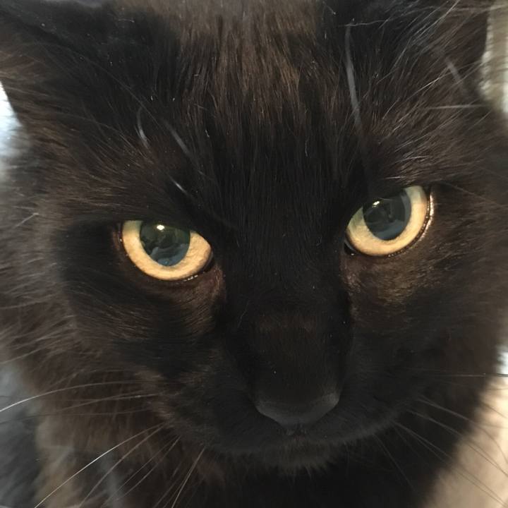 91d161c8 2926 44b0 9a03 1e9fe44e4b1b 1524572264928