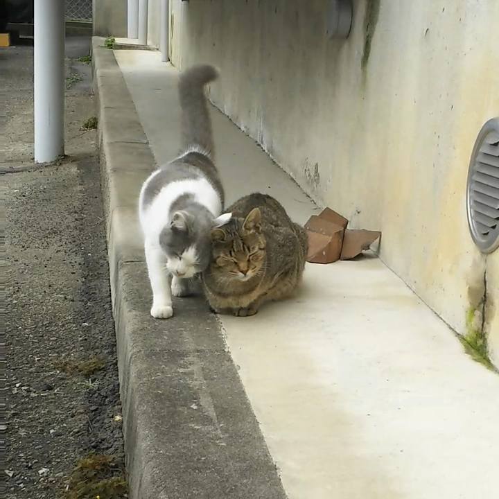 91d1716d 3c9e 4a4e 885c b14c35b18590 1511935162520