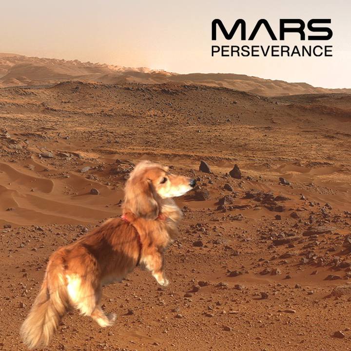 91d175af 4913 464c b2fb 0c256c54e3e9 1614256293632