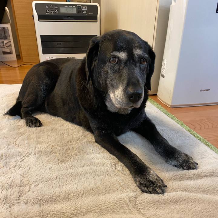 91d18a78 a511 4e58 96fd 5c67af70d578 1736745269652