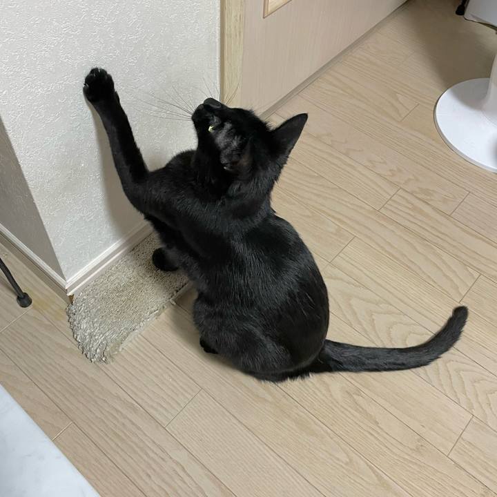 91d1a0e0 1874 47c3 9916 12c5e0610bd0 1657635192818