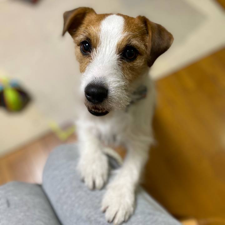 91d1daf9 ff79 47c6 ab16 5437b2ada5bd 1706011718933