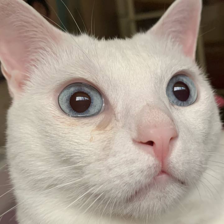 91d1ece0 3180 42ec a2a7 f18ba79f7f9d 1624740336474