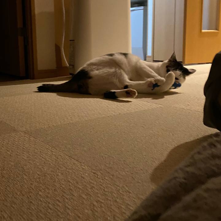 91d1f7cc dbc9 428f b04b a38822b9d15c 1773585971103