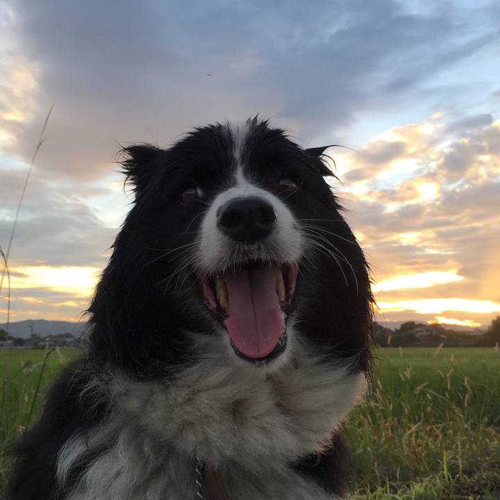 91d22a80 78b4 4e5b b393 c95ac2d7a57d 1534366806665