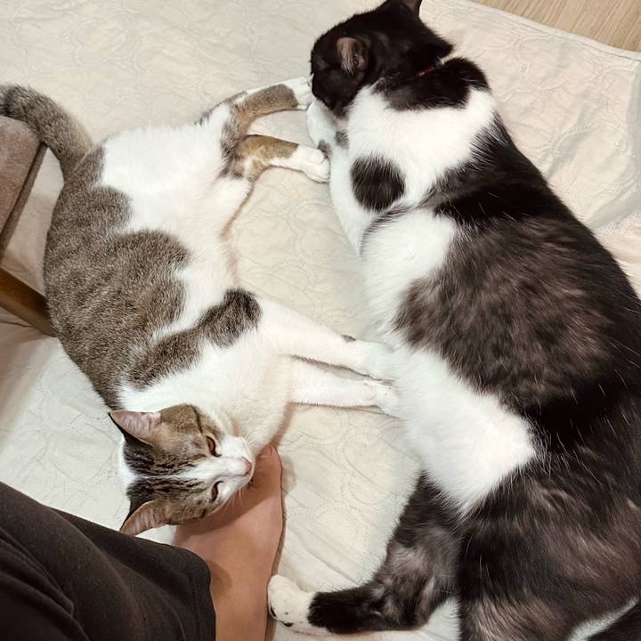 91d243e1 fdb2 4671 85d1 cb51b6bee2a0 1758113188588