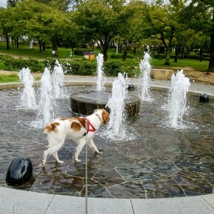 91d2641a c98b 4a8b ba1d 2a0375cd11b4 1536578927345