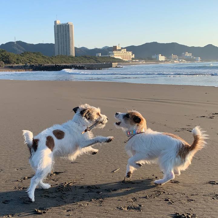 91d32db1 f2d2 4626 ad43 88d70a0c6299 1773838423346