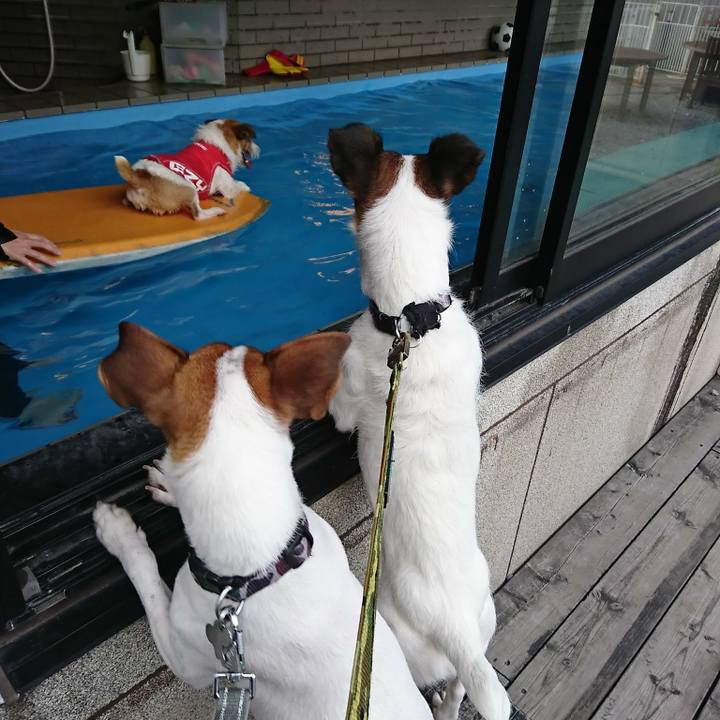 91d33609 025e 4402 9e53 5842b2dca8f0 1536308687539